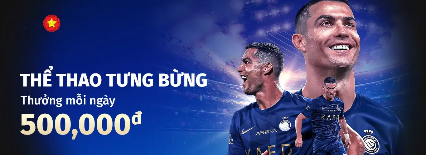 Hình ảnh quảng cáo của nohu hiển thị nền tảng và các lợi ích