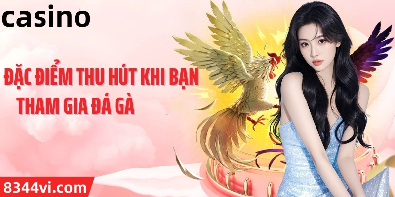 Hình ảnh quảng cáo của nohu hiển thị nền tảng và các lợi ích