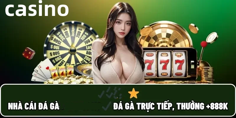 Hình ảnh quảng cáo của nohu hiển thị nền tảng và các lợi ích