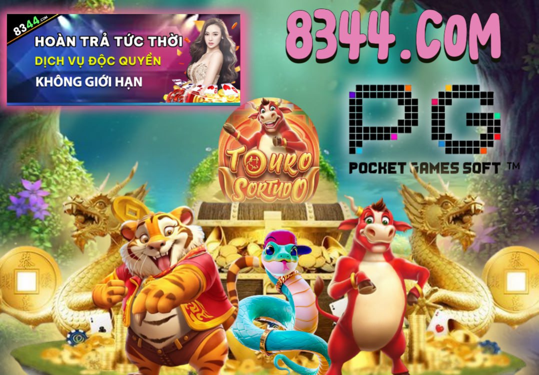 Hình ảnh quảng cáo của nohu hiển thị nền tảng và các lợi ích