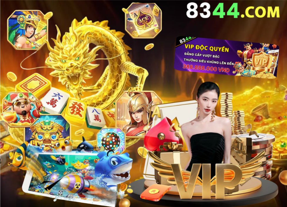 Hình ảnh quảng cáo của nohu hiển thị nền tảng và các lợi ích
